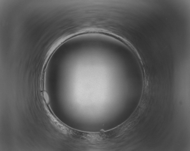 X0000085830911200703161320