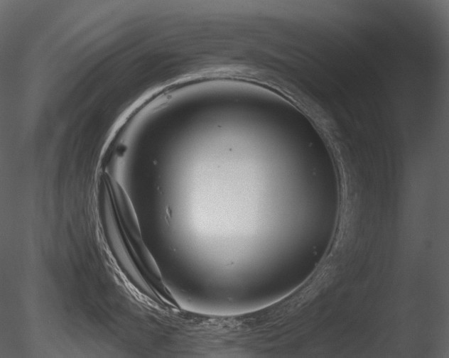 X0000085830912200703161320