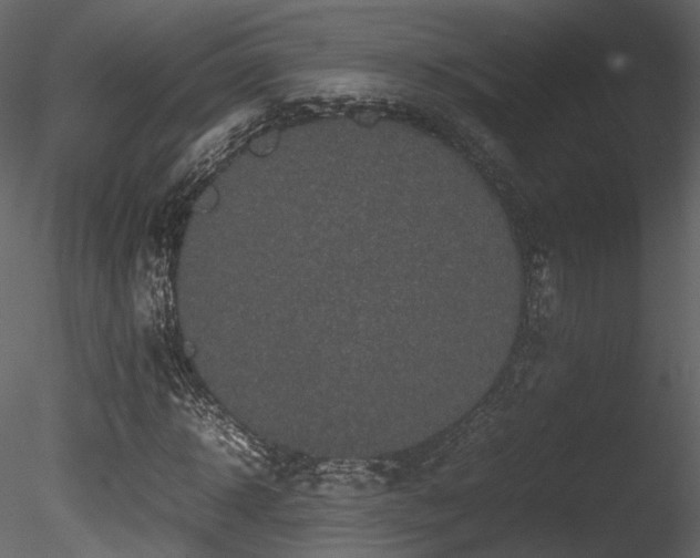 X0000085830918200703161320