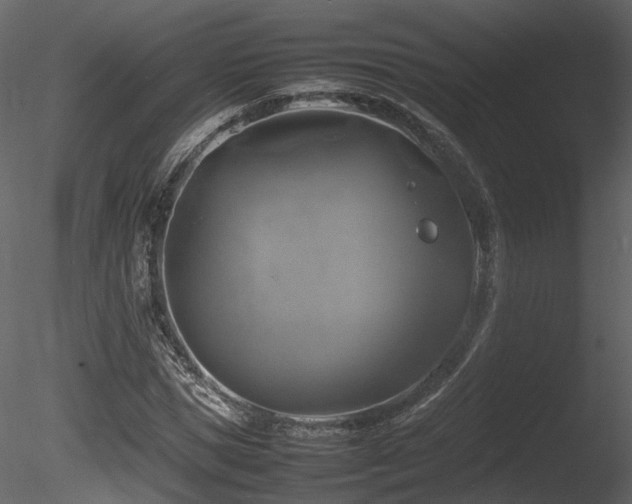 X0000085830921200703161320