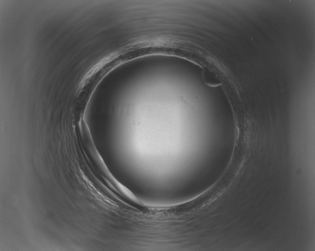 X0000085830922200703161320