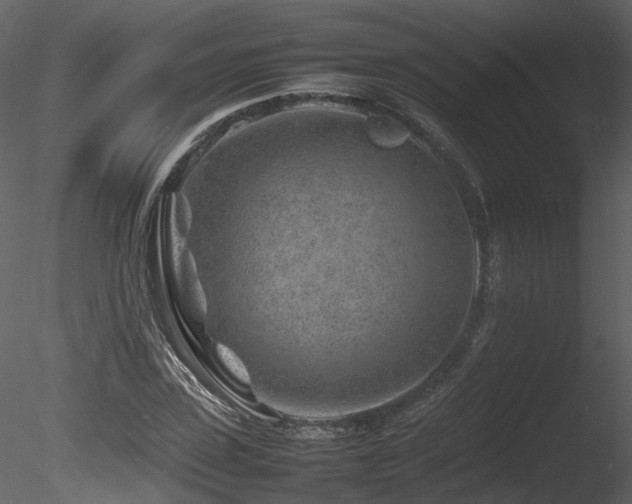 X0000085830923200703161320