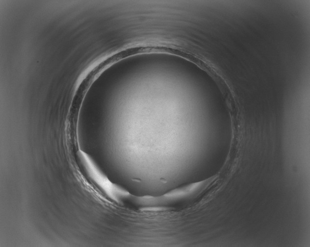 X0000085830928200703161320