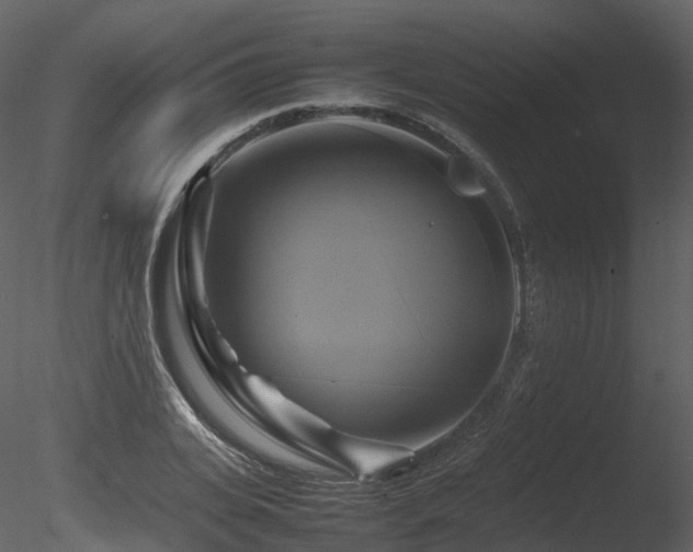 X0000085830935200703161320