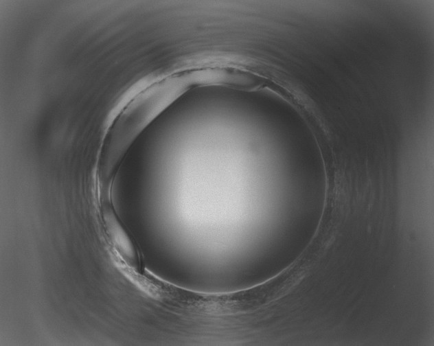 X0000085830936200703161320