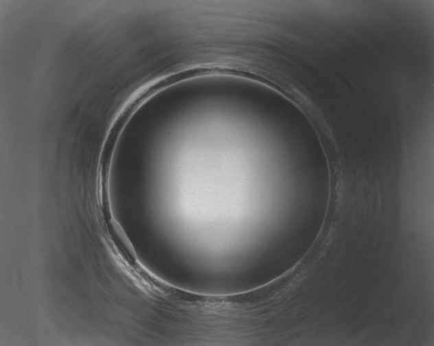 X0000085830940200703161320