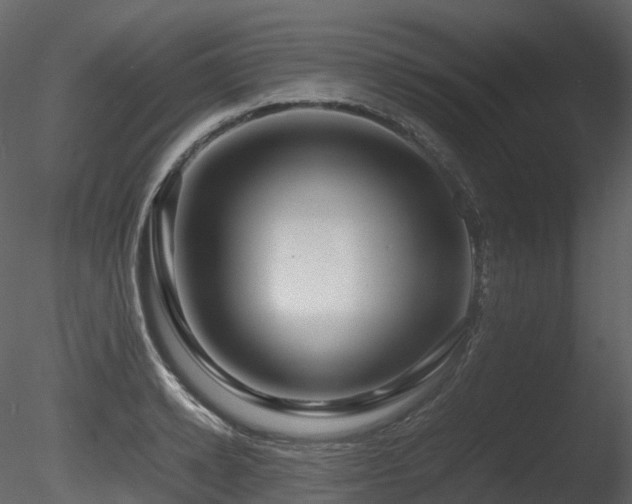 X0000085830942200703161320