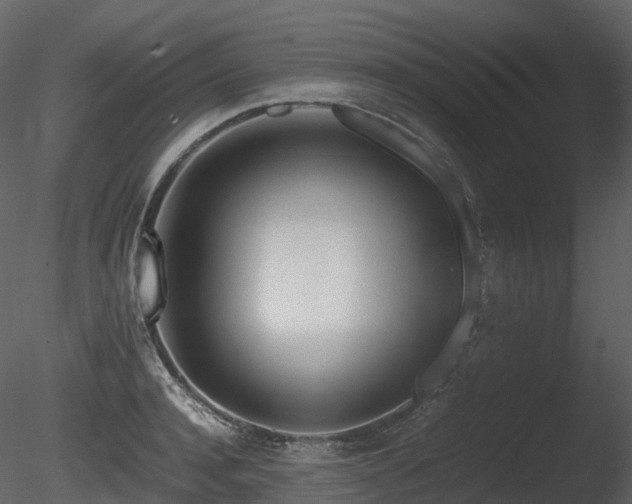 X0000085830944200703161320