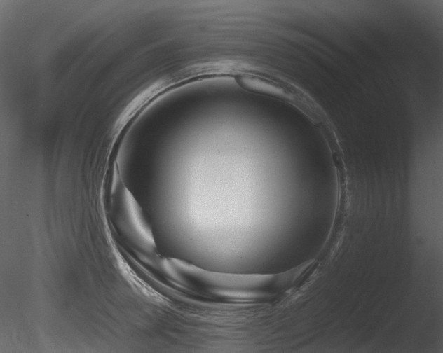 X0000085830946200703161320