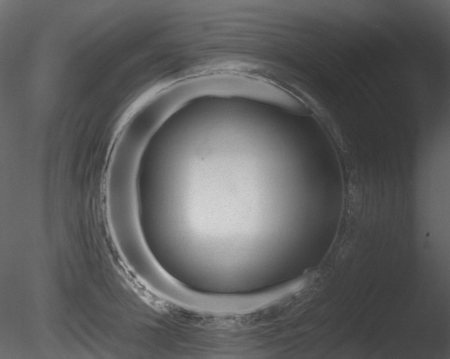 X0000085830948200703161320