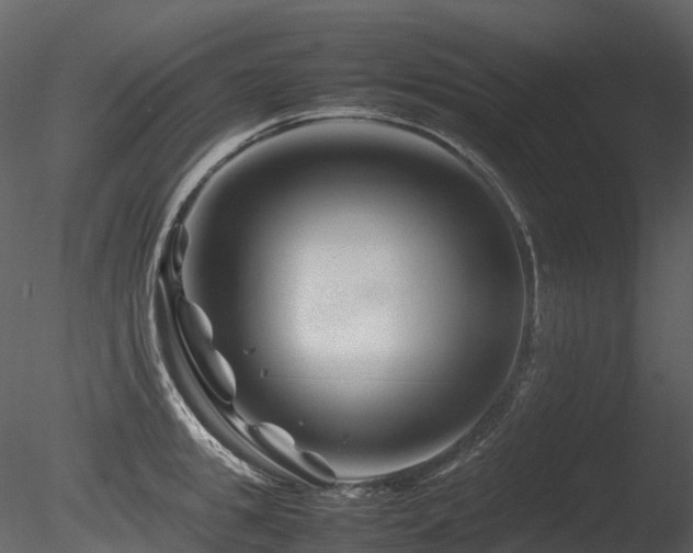X0000085830949200703161320