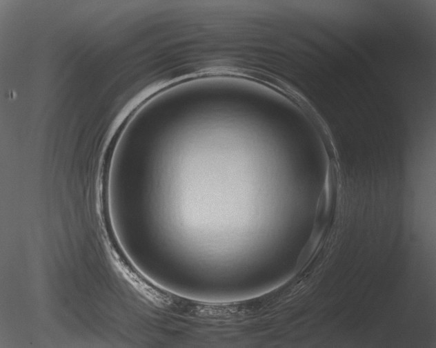 X0000085830955200703161320