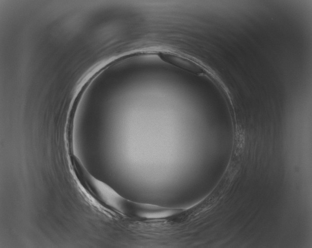 X0000085830959200703161320