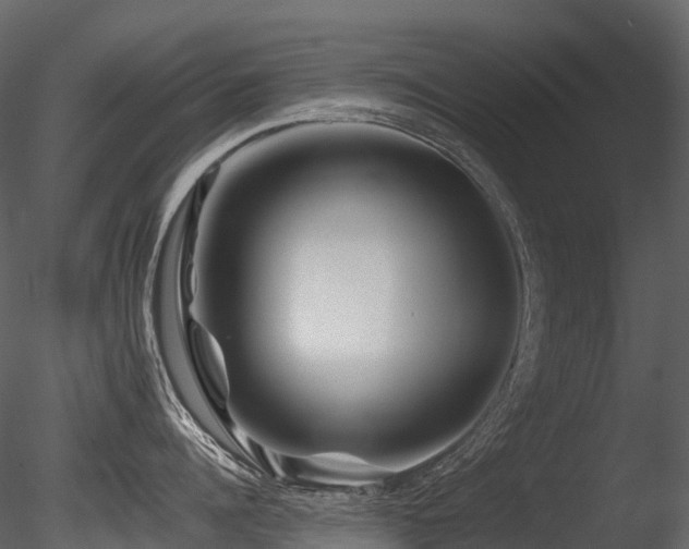 X0000085830960200703161320
