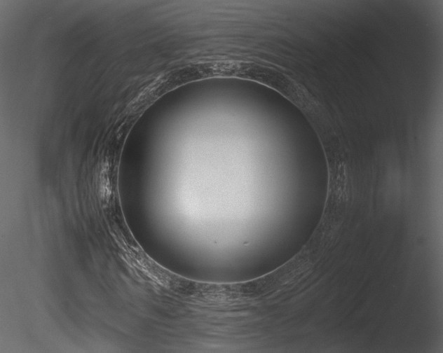 X0000085830962200703161319