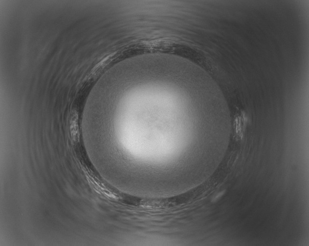 X0000085830963200703161319