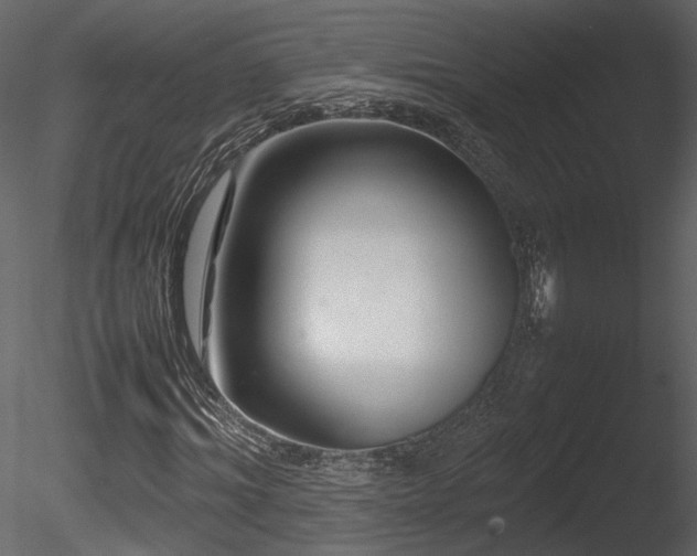 X0000085830964200703161319