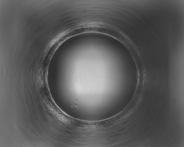 X0000085830970200703161319