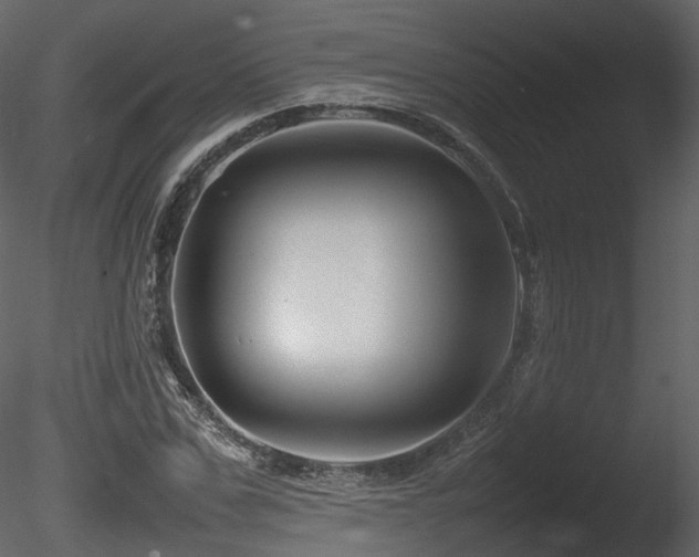 X0000085830971200703161319