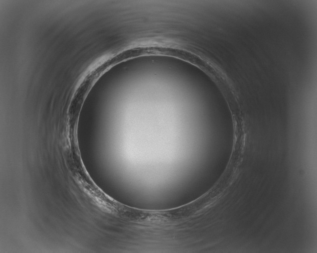 X0000085830974200703161319