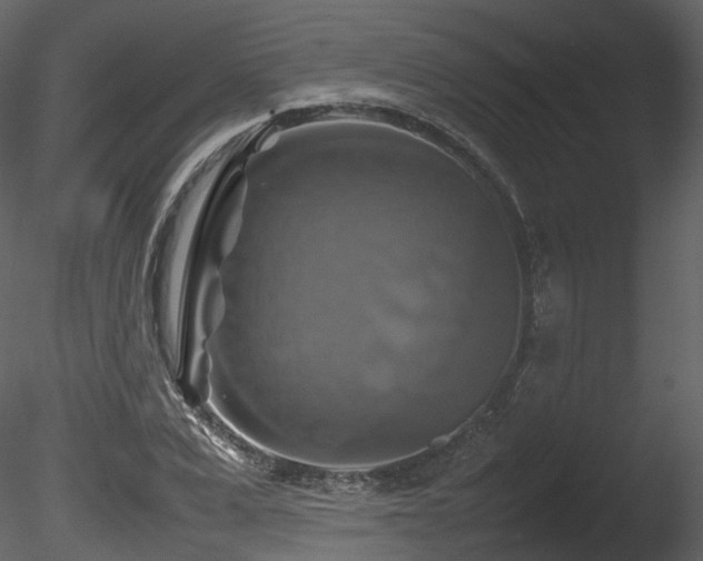X0000085830975200703161319
