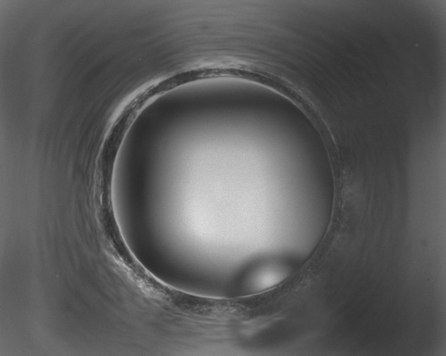 X0000085830979200703161319