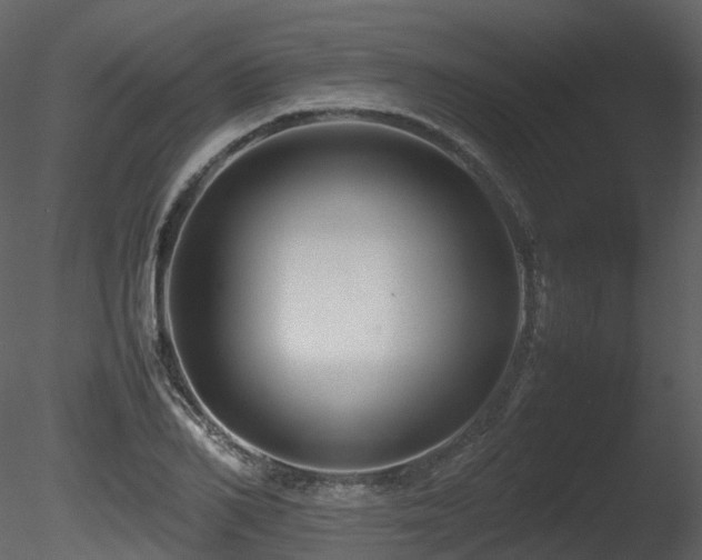 X0000085830982200703161319
