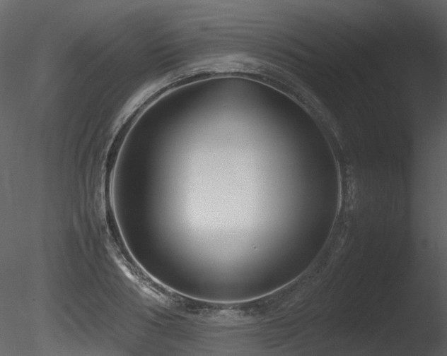 X0000085830986200703161319