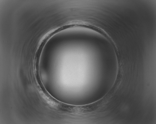 X0000085830987200703161319