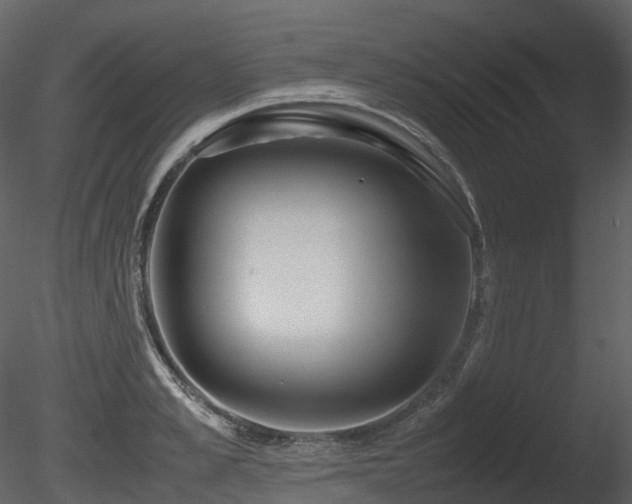 X0000085830989200703161319