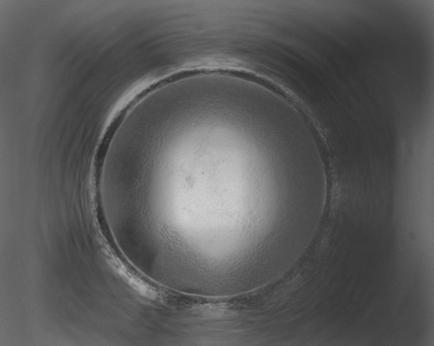 X0000085830990200703161319
