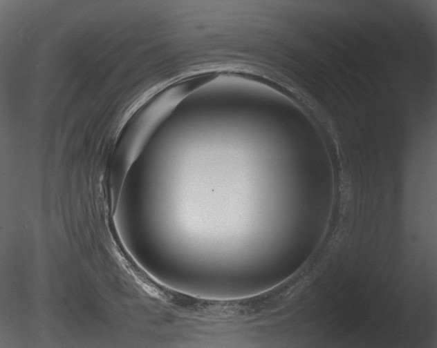 X0000085830993200703161319