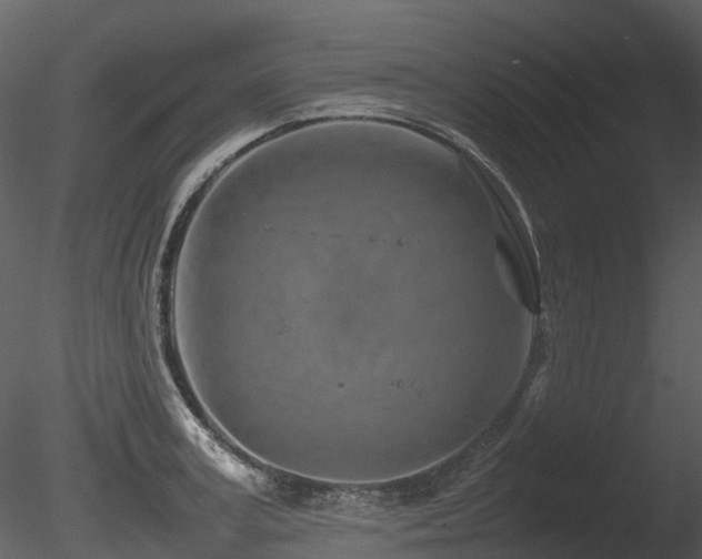 X0000085830995200703161319
