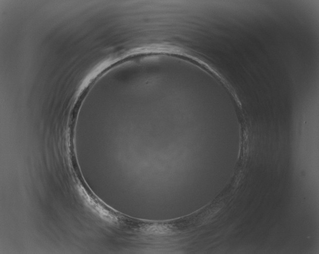 X0000085830998200703161319