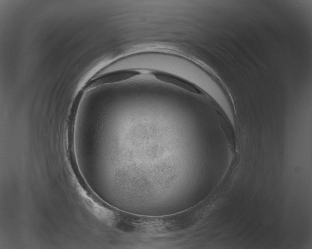 X0000085830999200703161319