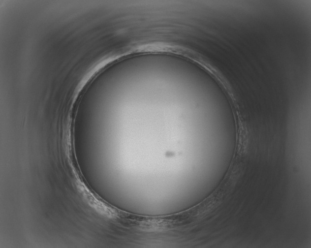 X0000085831000200703161319