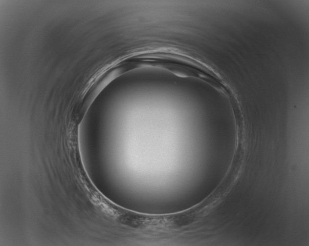 X0000085831001200703161319
