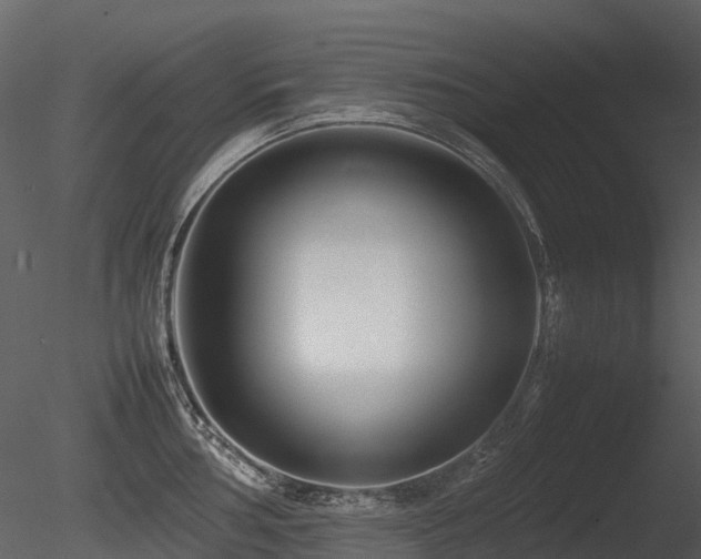 X0000085831002200703161319
