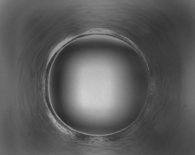 X0000085831003200703161319