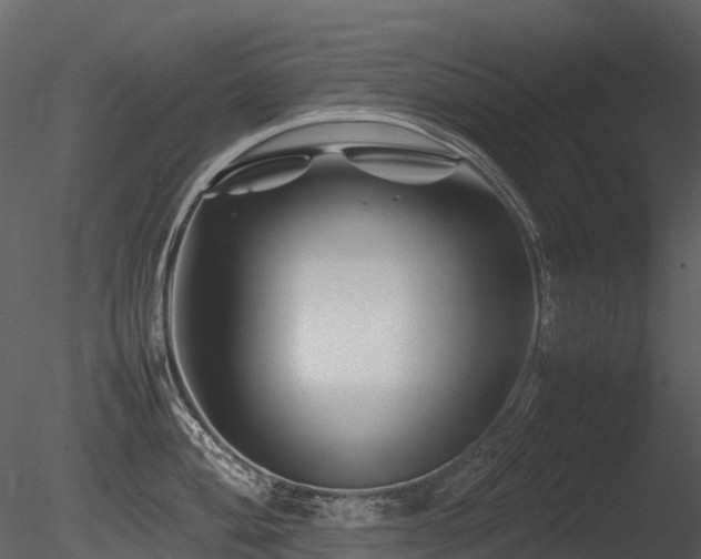X0000085831004200703161319