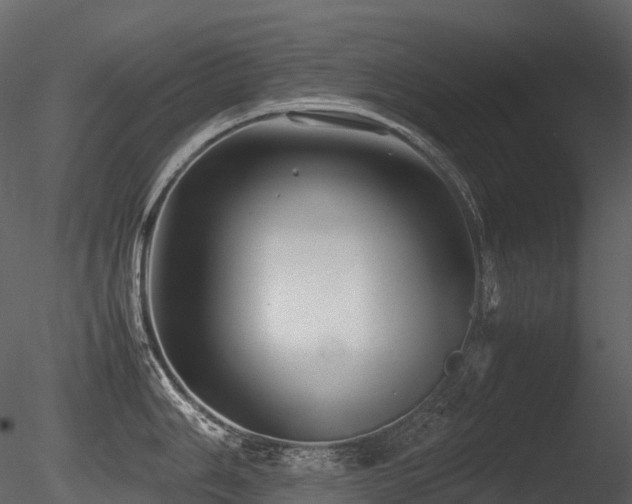 X0000085831006200703161319