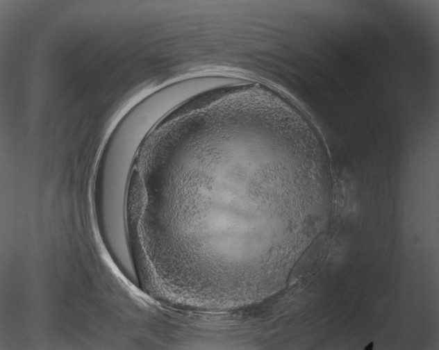X0000085831007200703161319