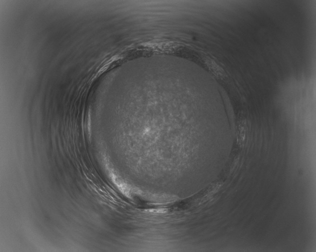 X0000085831010200703161318