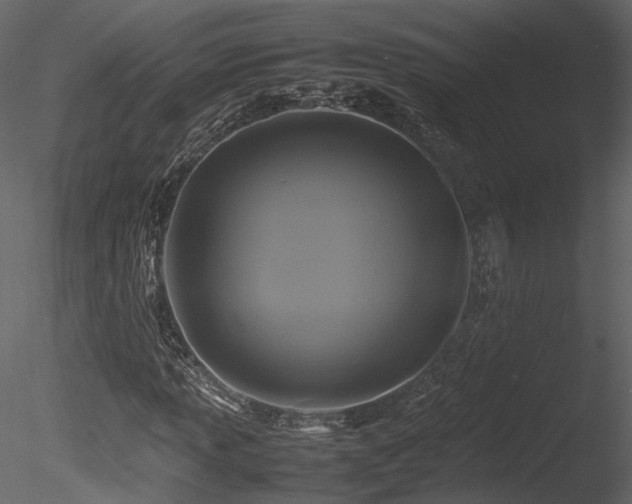 X0000085831013200703161318