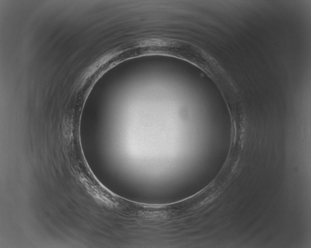 X0000085831017200703161318