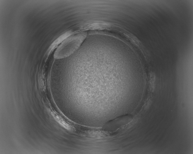 X0000085831018200703161318