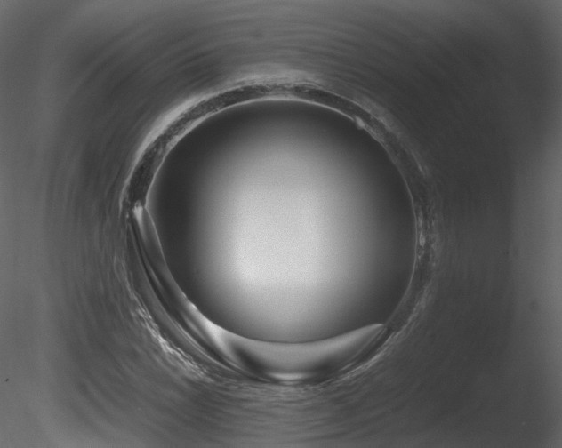 X0000085831022200703161318