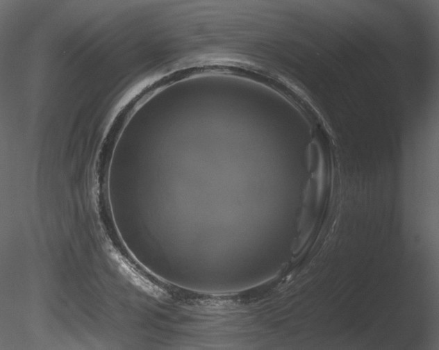 X0000085831024200703161318