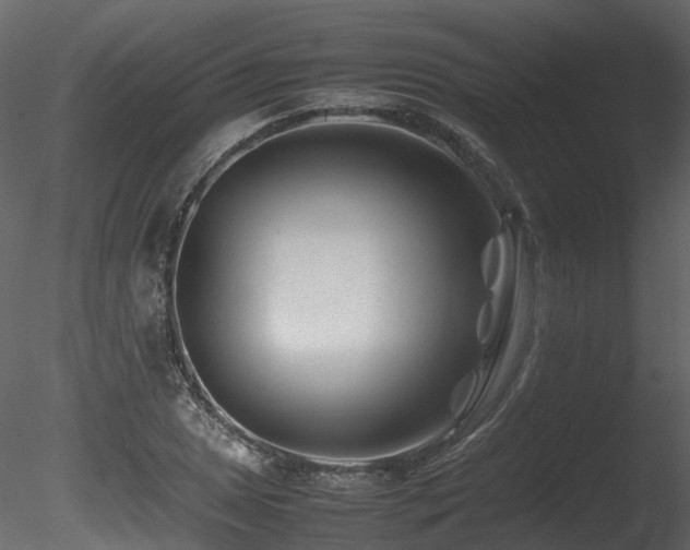 X0000085831025200703161318