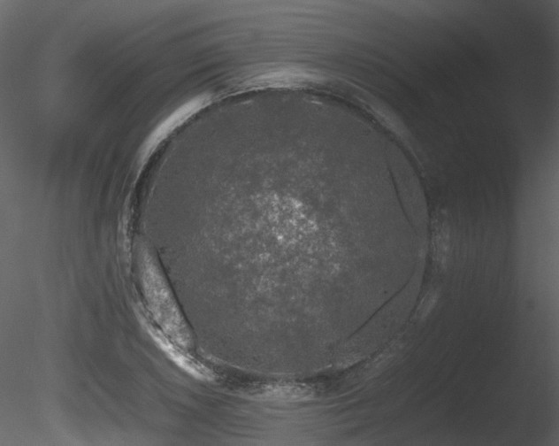 X0000085831026200703161318